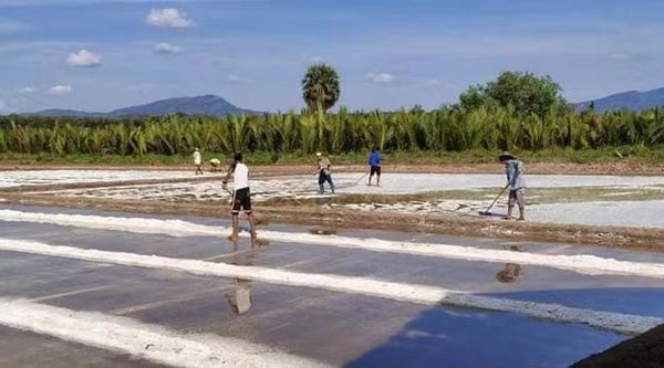 伊洛瓦底省纳不打县区将比去年多生产40万吨食盐