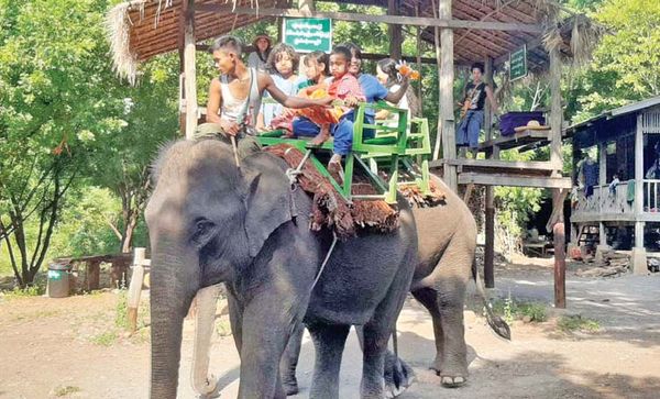 曼德勒省的娃纳大象营地在直桑岱节假日期间迎来大批游客