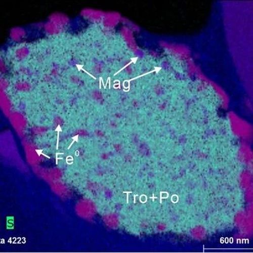 新进展！首次发现！