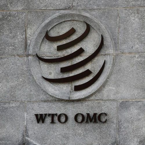 提告大陆？“笑死，WTO才不理你”