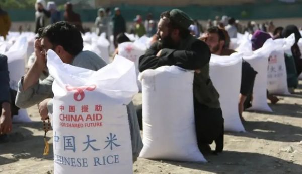 美国大使称中俄破坏北约统一，中方硬气回应：别把中国当假想敌!