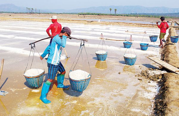 若开邦出产的日晒盐获得孟加拉国的垂青