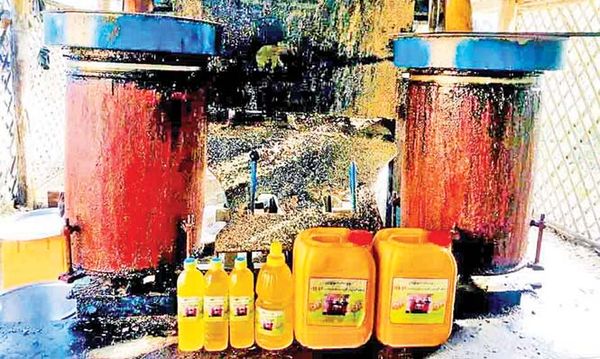 马奎省本漂县区民间生产的花生油芝麻油获得好价钱  