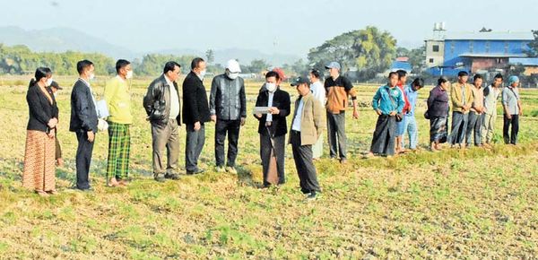 克钦邦首府密支那县区兴建100英亩模范田一年能种植三季庄稼