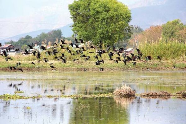 缅甸第二大淡水湖的自然与生态环境介绍