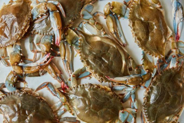 伊洛瓦底省壁榜县区出产的软壳螃蟹重新出口国外