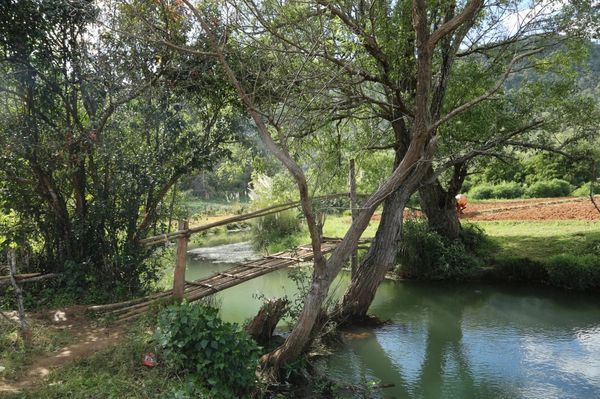 掸邦南部彬得亚自然泉水溪一带庄稼长势良好