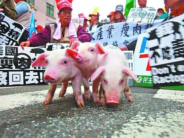 “毁灭台湾计划”后，美国又被爆出……