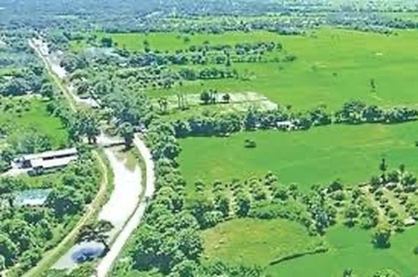 曼德勒省皎栖县区为种植夏作物各水渠开始为农田提供水源