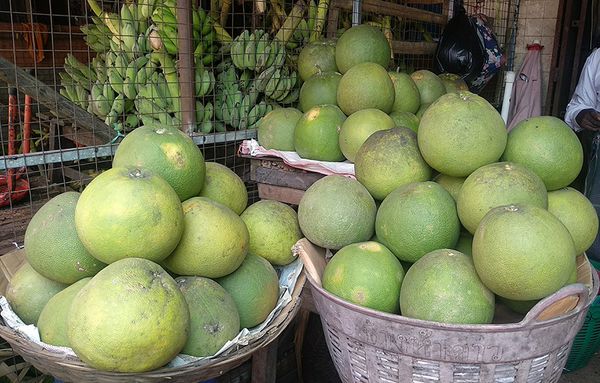 热带水果柚子第二季上市获得了好价钱