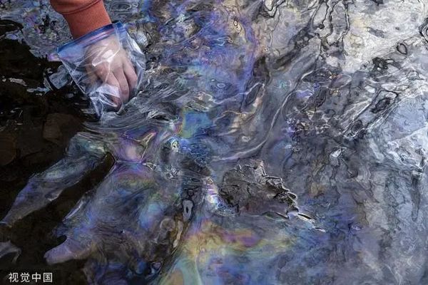 “请为我们而战！”