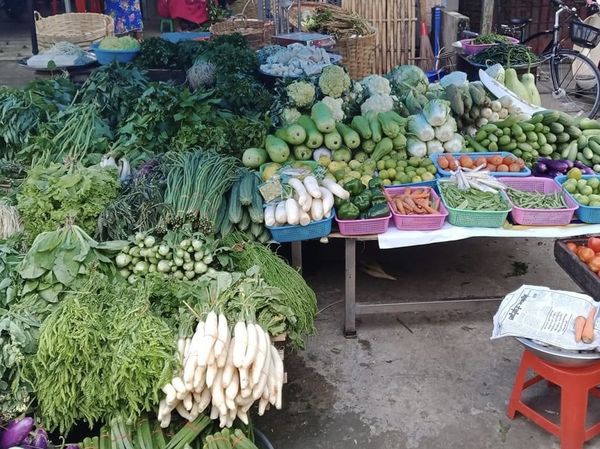 德林达依省格雅杜义分县区民众种植蔬菜获得好价钱