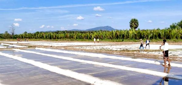 伊洛瓦底省海基遵盐生产区因气候原因盐生产工作将推迟1个月