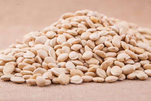 缅甸国内扁豆大量上市价钱微跌但仍处于高价地位