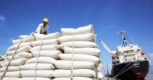 本财政年度11个月缅甸已向国外出口大米碎米200多万吨