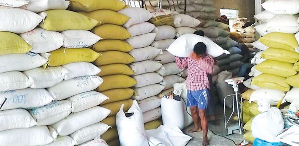 仰光大都市瓦坦大米交易所已有新出产的夏季稻大米进入