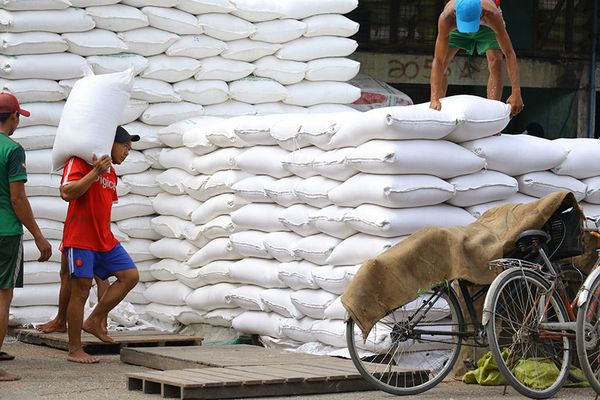 今年2月份缅甸大米碎米出口情况