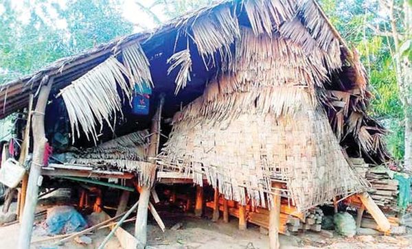 伊洛瓦底省达榜县区发生人象冲突事件一农夫被象践踏死亡