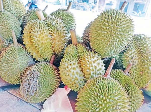 孟邦吉马鲁县区所产榴莲出产上市获得了好价钱