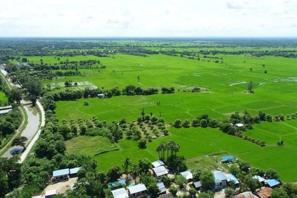 马奎省斯林县区种植了各种夏作物2万多英亩