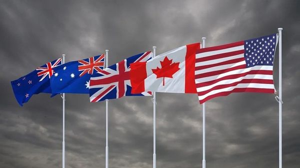 与“五眼联盟”有勾连，台当局首度承认！