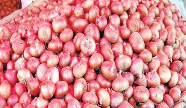 色漂、帕科库、昂兰、东墩基等地所产洋葱输送往全缅各地
