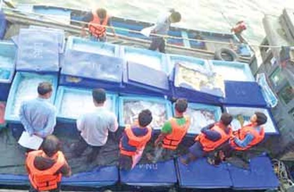 德林达依省两贸易基地4月份内进出口贸易情况