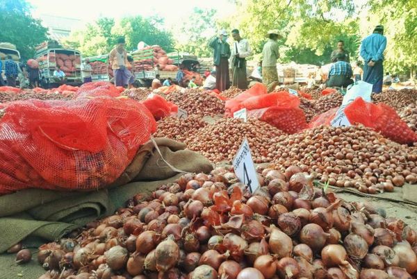 仰光勃印瑙交易场夏洋葱大量进入农民们获得好价钱