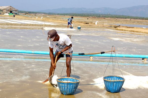 孟邦海盐已大量出产盐价开始下降