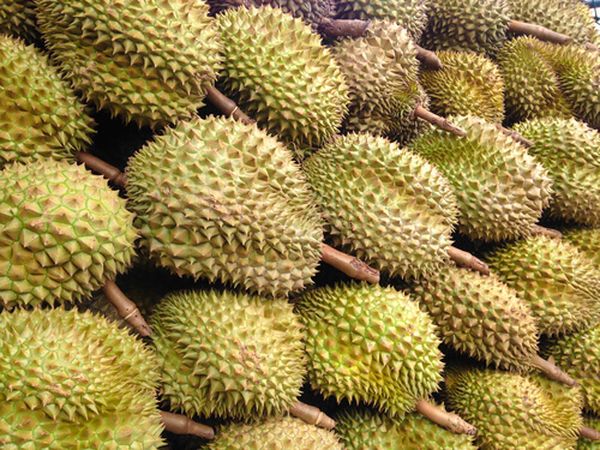 榴莲初上市由于购买力强劲获得了好价钱