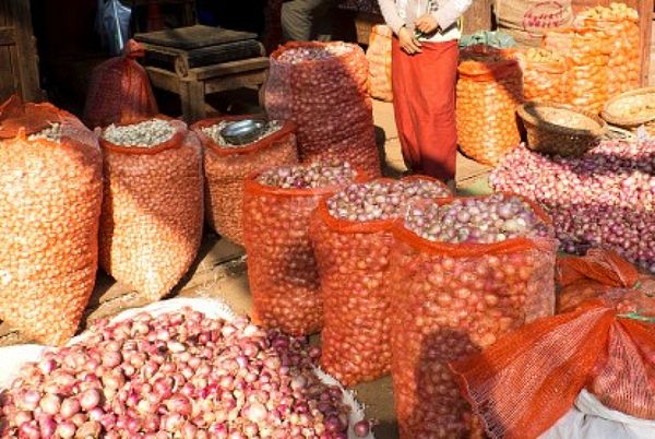 马奎省色漂县区洋葱种植情况及市场情况