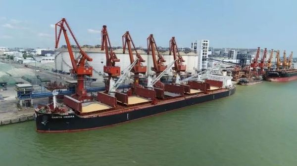 输华通道正式打通！“高度依赖美国的局面正在被改写”