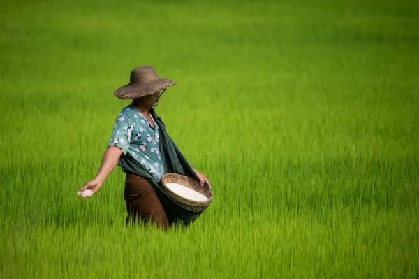 商家被警告不要借飓风之机哄抬日常食品和药品价格