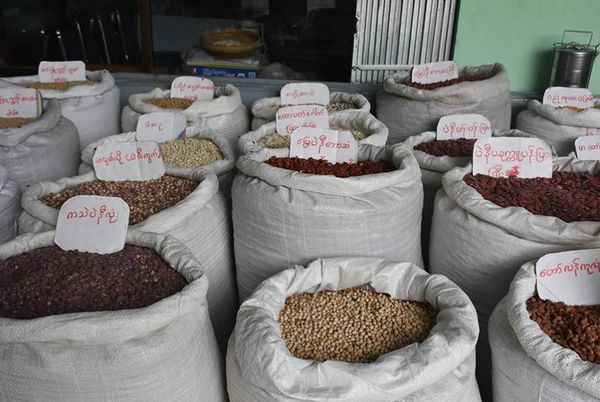 新财政年度开局一个多月缅甸已向国外出口各种豆类18多万吨