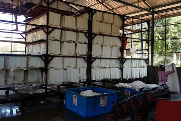 在3月份1周内缅甸橡胶出口5,600多吨创汇600多万美元