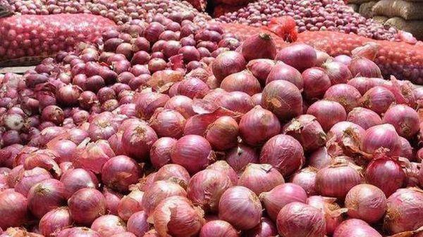 缅甸国内生产的洋葱出口中国泰国使洋葱行情处于高价地位