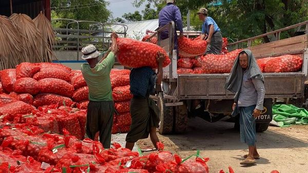 缅甸洋葱出口孟加拉国及越南促使国内洋葱行情上涨