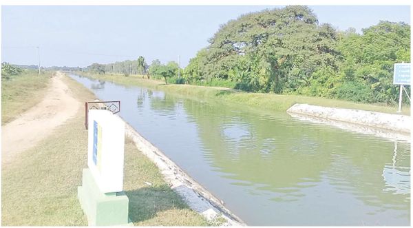 实皆省德班色水坝供水区域内完成45%的夏季稻种植工作