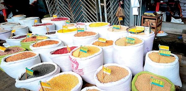 新财政年度两个月缅甸已向国外出口豆类2.4亿美元