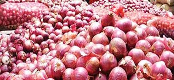 马奎省色漂县区目前洋葱市场及有关行情