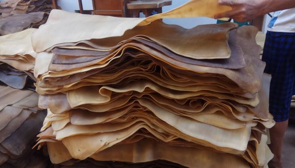 孟邦地区橡胶价钱出现反弹现象