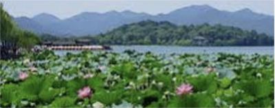 癸卯夏至. 卜算子（蔡義山）