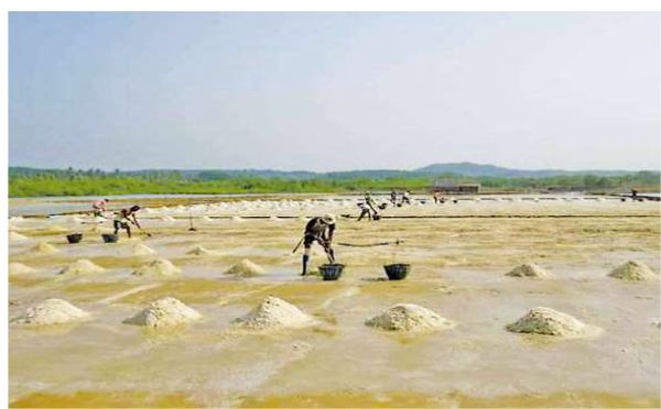 孟邦盐市场上由于需求量增大盐价开始上扬