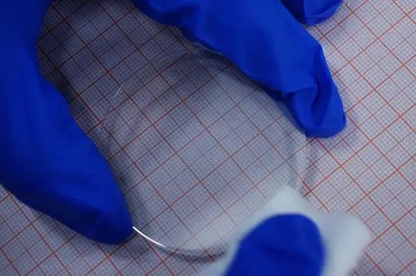 日韩接连回应！