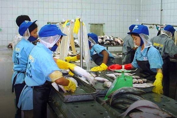 新财政年度2个月缅甸向国外出口水产品近7千万美元