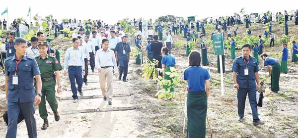 缅甸国内森林覆盖面积
