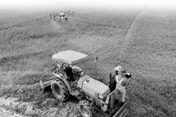 禁用中国无人机？他们急了