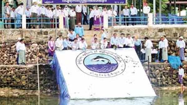 2023—24财政年度期间缅甸全国将向自然水域投放1亿多尾鱼苗