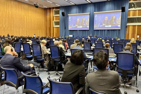 缅甸常驻联合国代表出席《不扩散核武器条约》总结工作组会议