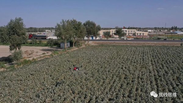 一个香港学者的新疆见闻：以前大家送粮票给我，现在……